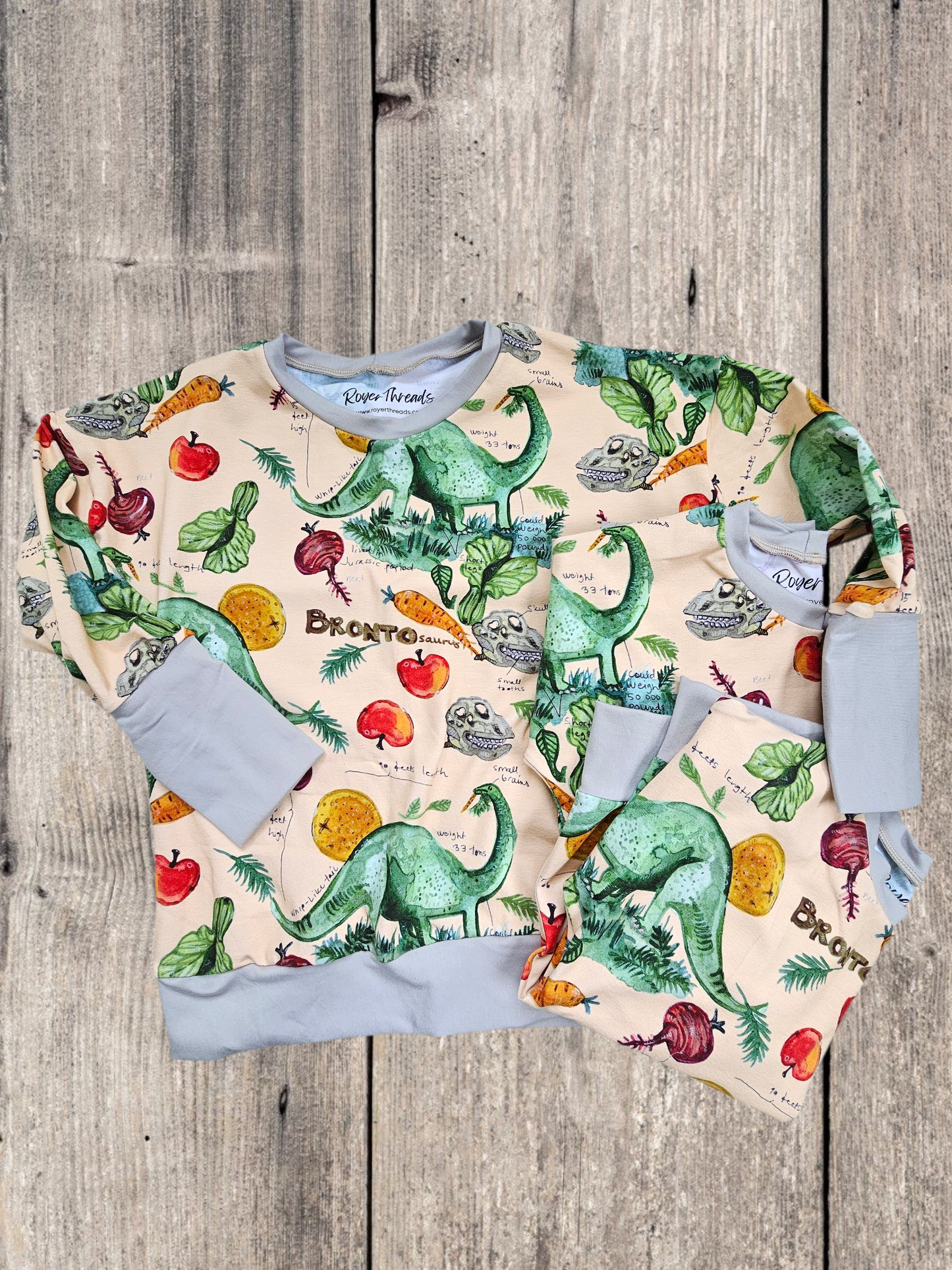 Veggie Dinosaurs Oversized Long Sleeve